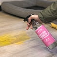thumbnail image 5 of Paws and Play (32oz) Pet Stain and Pet Odor Eliminator For Pet Urine, Feces, Vomit, and More, 5 of 7