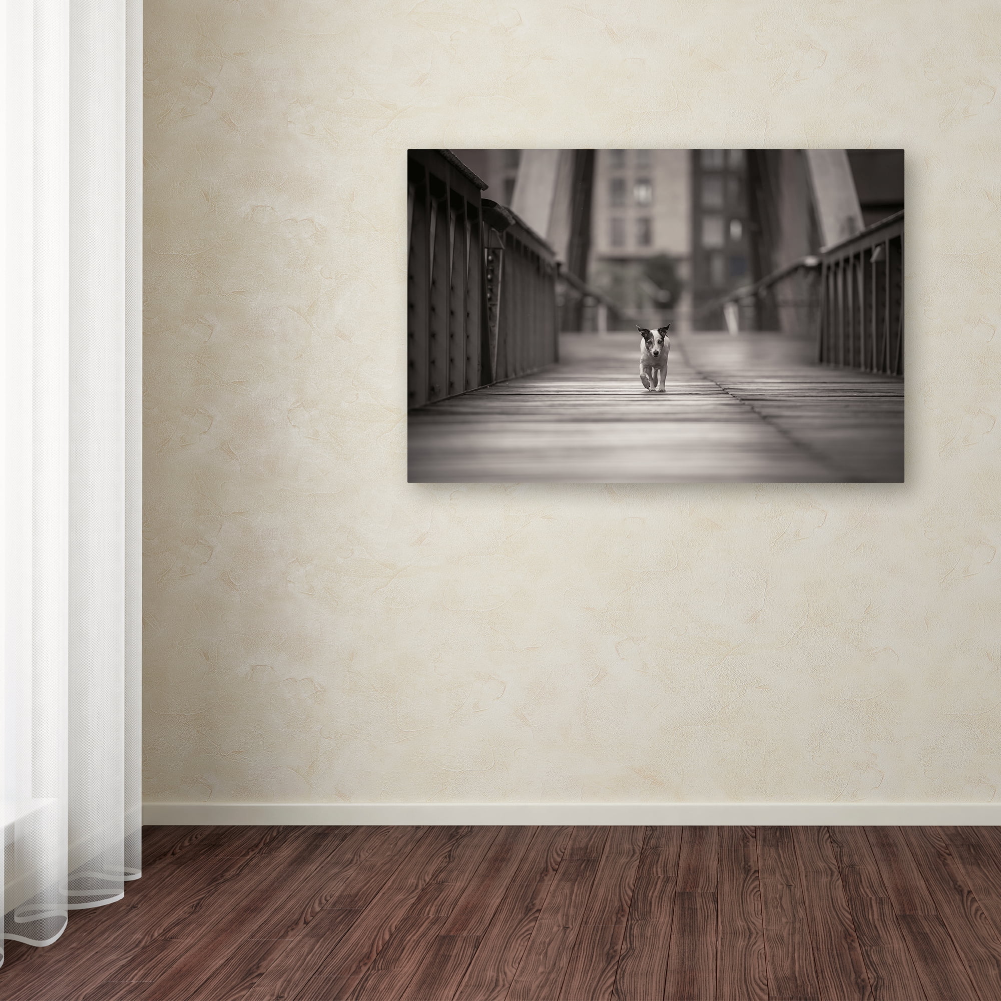 Trademark Fine Art 'You Can Go Your Own Way' Canvas Art by Heike Willers