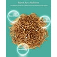 Reptile Food Dried Mealworms Pet Worms Food for Bearded Dragon, Lizard