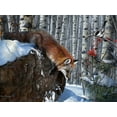thumbnail image 2 of Daniel, Kevin 24x19 White Modern Wood Framed Museum Art Print Titled - Fox in Winter, 2 of 4