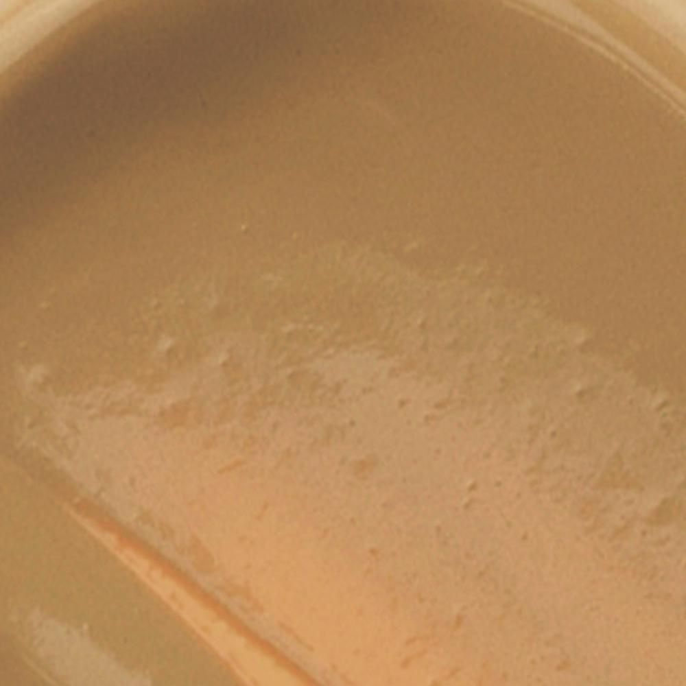 Milani Correcteur longue tenue Conceal + Perfect Correcteur longue tenue