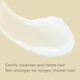 thumbnail image 3 of Champú Hairitage Length Check Biotin con aceite de ricino negro jamaicano, 400 ml, 3 of 7