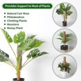 thumbnail image 3 of 4 Stck 40 Cm Pflanzstab Kokos Moosstab,moosstange Pflanze Totemfr Kletterpflanzen Monstera Pothos Ranken Mit 100 Twist Ties,1m Langem Bindeband 10 Pla, 3 of 5
