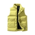 thumbnail image 2 of Hearthz Puffer Vest Mens Fleece Sleeveless Stand Collar Men's Jackets Full Zipper Winter Warm Vests for Men with Pocket, 2 of 4