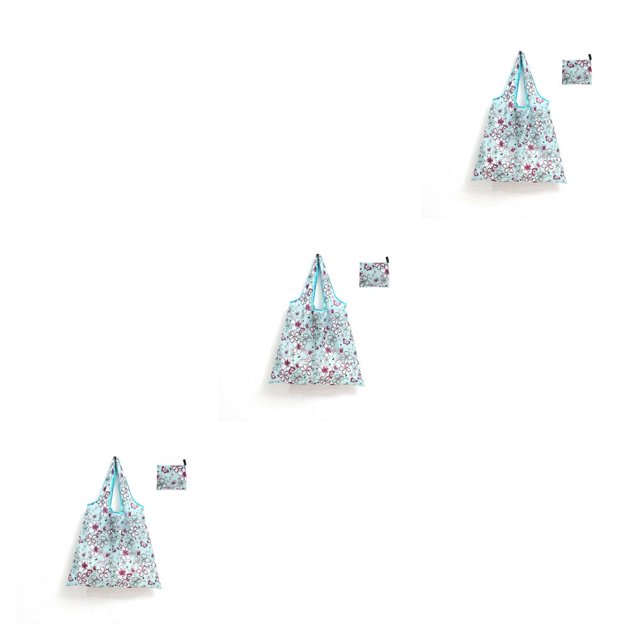 Minnieouse Bolsa de compras para hombres y mujeres, bolsa de comestibles plegable reutilizable, senderismo, libro de viaje, verduras, llaves, Type1 NO1