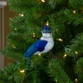 thumbnail image 4 of Northlight Blue Jay Clip-On Christmas Ornament - 4.5" - Blue and White, 4 of 4