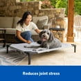 thumbnail image 4 of Coolaroo Cooling Elevated Dog Bed PRO with Heatshield, Medium, Easy Assembly, Pacific Crest Blue, 4 of 12