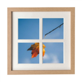thumbnail image 1 of Ciel Érable Science Nature Paysage Cadre Mur Table Affichage 4 Ouvertures Image, 1 of 3