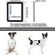 thumbnail image 2 of Cierra la puerta magnéticamente, los gatos y los perros pueden bloquear la pantalla deslizante. esquí esquí Gafas de esquí, 2 of 5