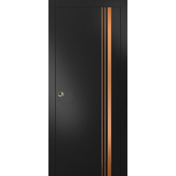 Sliding French Pocket Door 18 x 80 inches with | Planum 1010 Matte Black with Frosted Glass | Kit Trims Rail Hardware | Solid Wood Interior Bedroom Sturdy Doors