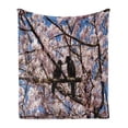 thumbnail image 1 of Black Crow Soft Flannel Fleece Throw Blanket, Photo of Birds on Cherry Blossom Tree Branch, Cozy Plush for Indoor and Outdoor Use, 50" x 70", Sky Blue Pink Dark Grey, by Ambesonne, 1 of 6