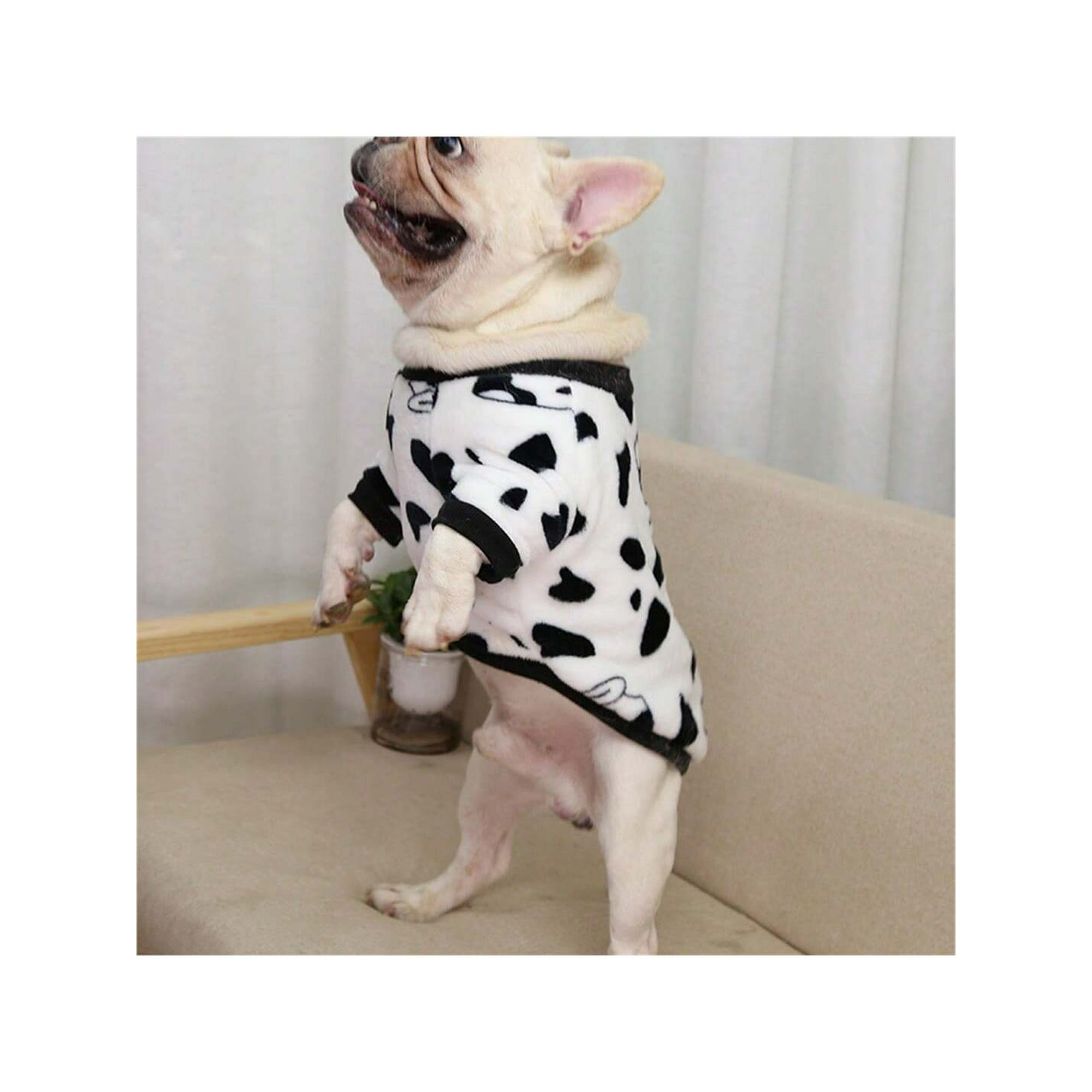 Dog hanbok sales