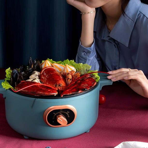 Multipurpose electric cooker sale