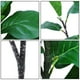 thumbnail image 2 of Árbol de Higuera de Hoja de Violín Artificial Ramas de Plantas de Vegetación Sintética para Fiesta de Boda Patio Interior Exterior Oficina Decoración del Hogar ANGGREK Otros, 2 of 8