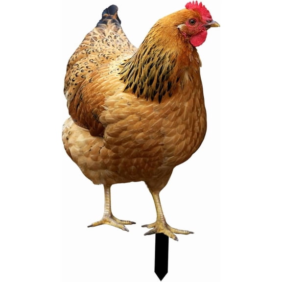 Chicken Yard Stake, Acrylic Hen Statue, Realistic Animal Sculpture Ornament with Ground Pointed Tip for Backyard Patio Lawn and Daily Landscape Decoration