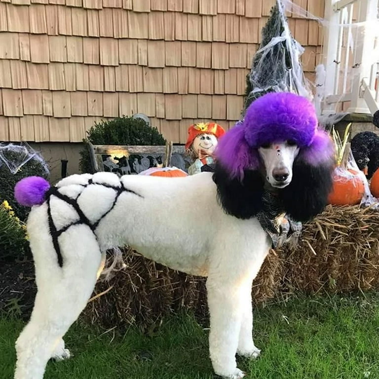 Is Dog Hair Dye Safe