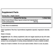Swanson Black Currant Extract 200 mg 30 Veggie Capsules