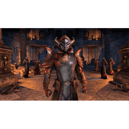 Bethesda Softworks Elder Scrolls Online: Summerset for PlayStation 4