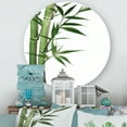 thumbnail image 2 of Designart 'Detail of Dark Green Bamboo and Leaves I' Traditional Circle Metal Wall Art 23x23 - Disc of 23, 2 of 5