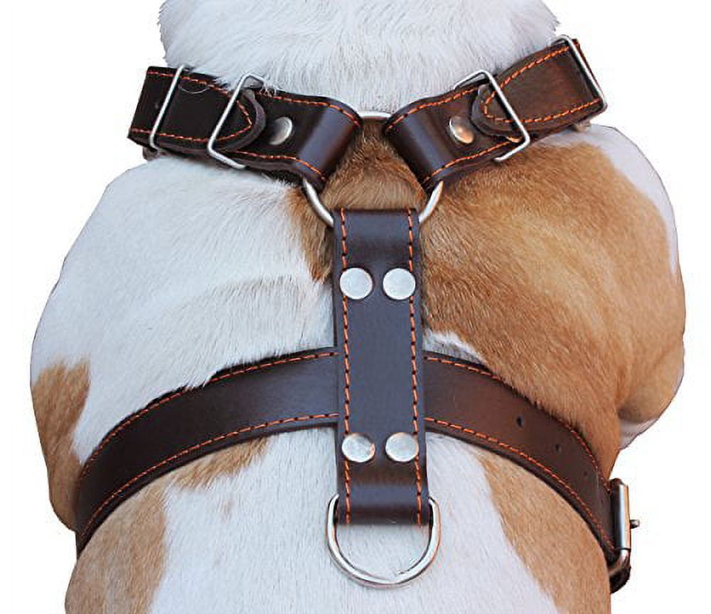 Brown Genuine Leather Dog Harness Large. 30"-35" Chest, 1.5" Wide Straps Pitbull, Boxer, Rottweiler