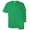 Irish Green, variant on Gildan Men's Ultra Cotton T-Shirt - 2000 (Pack Of 5)