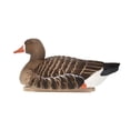 thumbnail image 6 of Avian X Topflight Specklebelly Goose Decoys with True to Life Postures, 12 Pack, 6 of 12