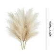 thumbnail image 2 of Slopehill 18” Artificial Silk Pampas Grass Home Wedding Bouquet (6 Count), 2 of 8