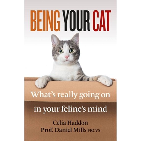 Pre-Owned Being Your Cat: What's Really Going on in Your Feline's Mind (Paperback) 178840405X 9781788404051