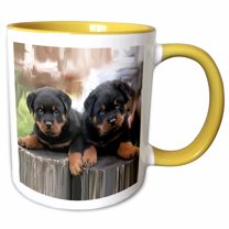 3drose, Rottweiler, 11oz Two-tone Yellow Mug