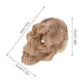 thumbnail image 2 of WHAMVOX 3pcs Skull for Terrarium Resin Decoration for Snake and Tortoise, 2 of 8