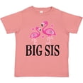 thumbnail image 3 of Inktastic Sister Announcement Flamingo Sister Girls Toddler T-Shirt, 3 of 5