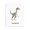 Velociraptor, Prehistoric Predator, Jurassic Wildlife, variant on Stupell Industries Contemporary High Five Roaring Dinosaur T-Rex Kids Typography Black Floating Frame Canvas Art, 17 x 21, by Lil' Rue