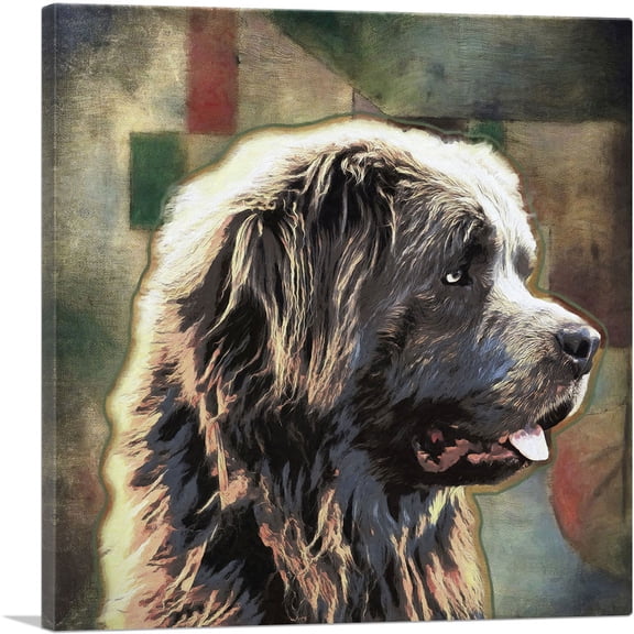 ARTCANVAS Newfoundland Dog Breed Canvas Art Print - Size: 12" x 12" (0.75" Deep)