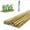 16 inch, variant on Triani Plant Stakes, 18 Inches Natural Garden Bamboo Sticks, 20Pcs Plant Support Stakes for Tomatoes,Beans,Vegetable and Potted Plants
