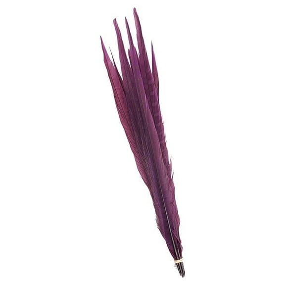 Zucker Feather Products Pheasant Tails Assorted Bleached - 14-18" - 10 pcs - Purple