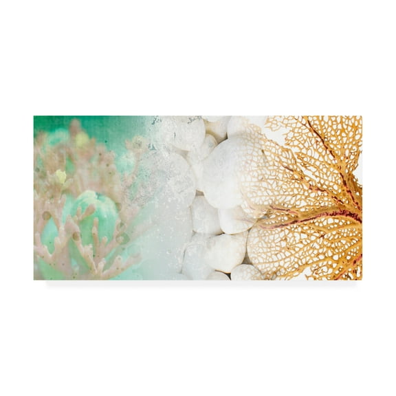 Trademark Fine Art 'Serene Photo Collage III' Canvas Art by Irena Orlov