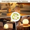 thumbnail image 6 of 2 PCS Glass Ball Crackled Glass Globe, Decorative Glass Ball with Clover Design, Patrick's Day Themed Orbs, Indoor Ambiance Light for Home Office, 6 of 6