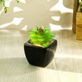 thumbnail image 4 of Potted Plant Simulated Easy to Care Mini Assorted Decorative Succulent Artificial Pot for Home Black Ceramic, 4 of 8