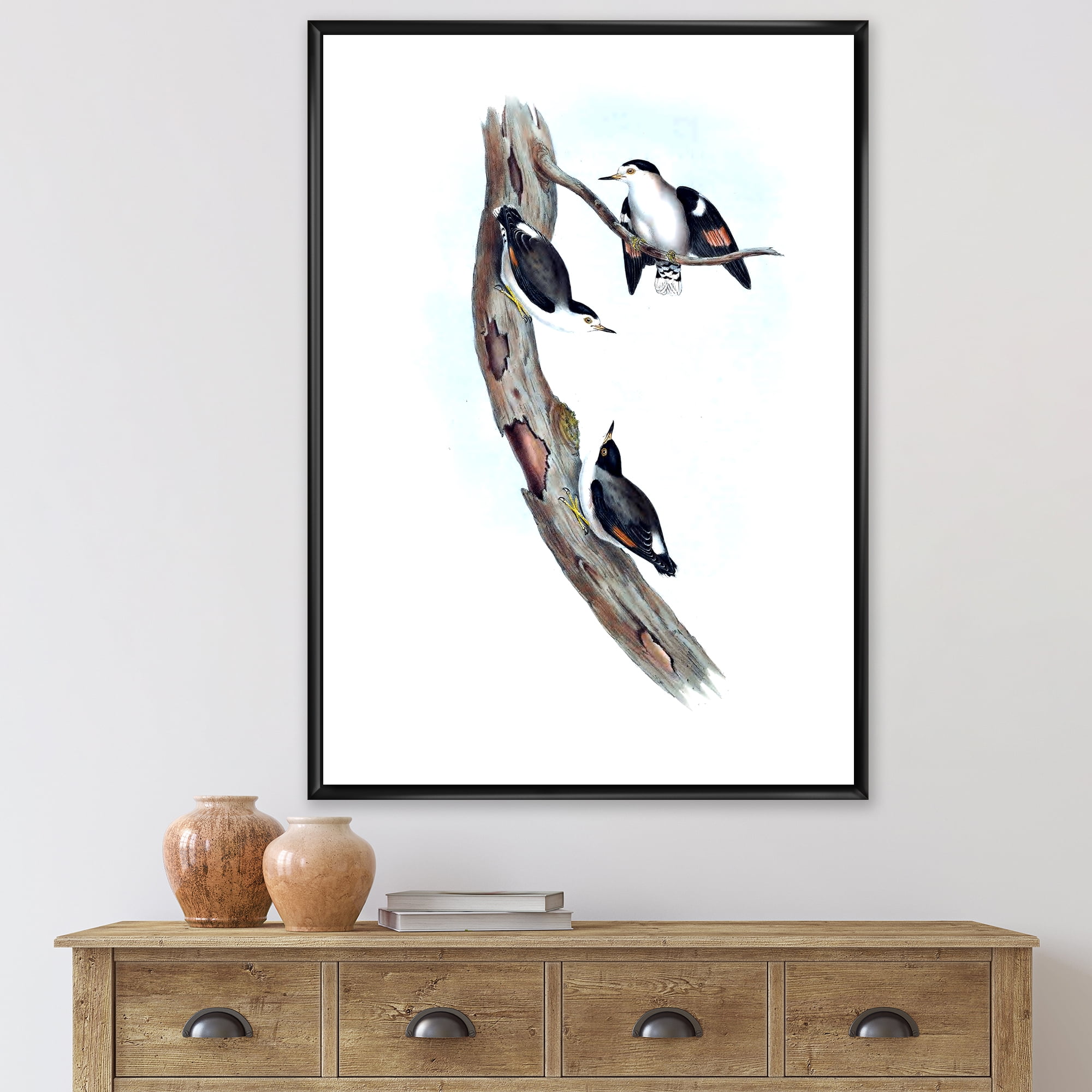 Designart 'Ancient Australian Bird Illustrations I' Traditional Framed Canvas Wall Art Print