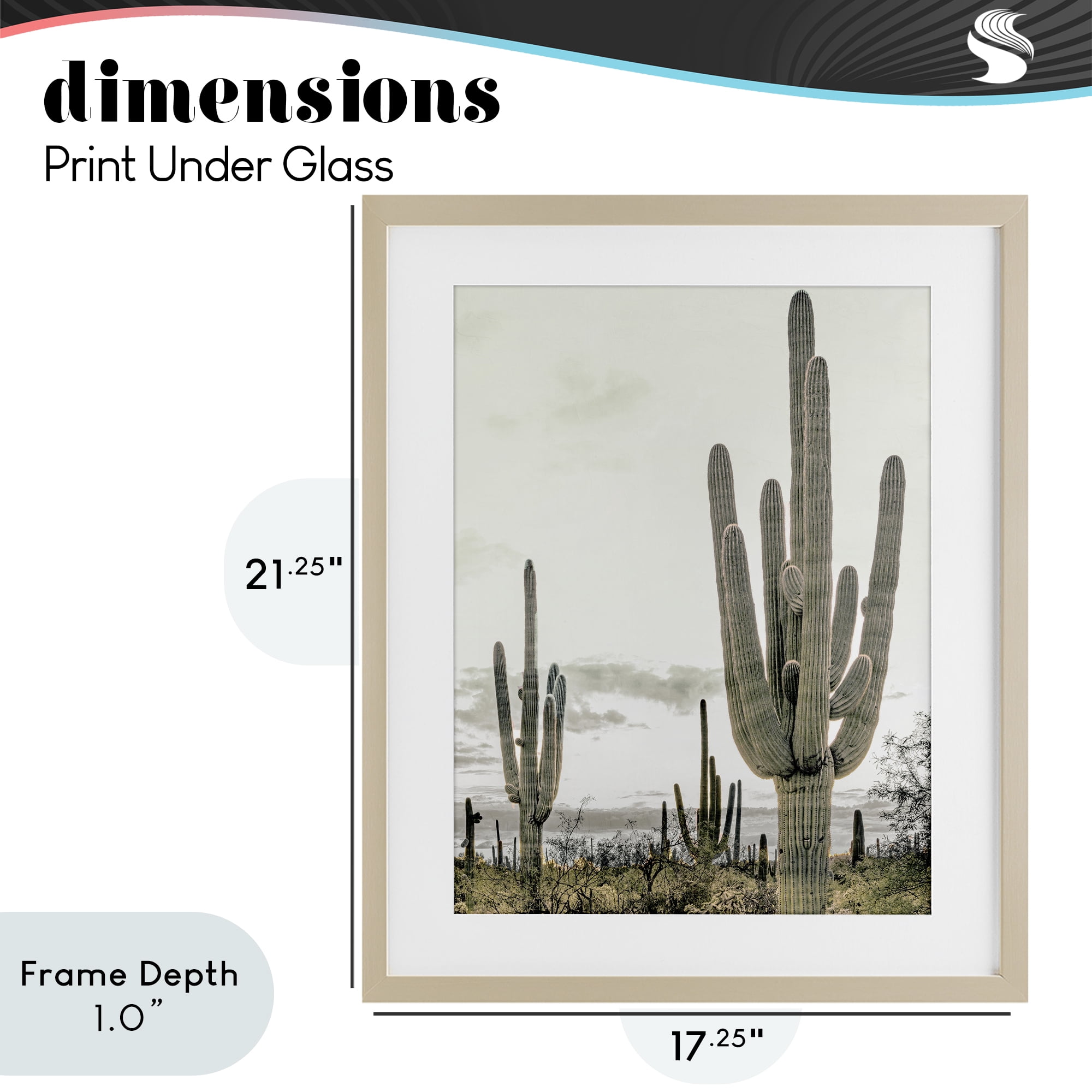Stupell Industries Subdued Desert Cacti Birch Framed Print Under Glass, design by Kim Allen