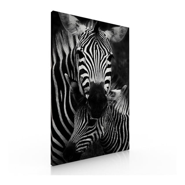 Cuadro Decorativo Moderno Para Recamara Cebras Ideas Creativas Cuadro sublimado en tela