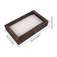 CTIRCHIU Insect Specimen Holder Multi-Color Wood Acrylic for Elegant ...
