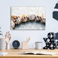 thumbnail image 4 of Epic Art 'Spiral Seashells' by Elena Ray, Acrylic Glass Wall Art, 16"x12", 4 of 8