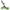 Green, variant on Gymax 4 Wheels Folding  Golf Push Cart W/ Adjustable Handle Foot Brake Grey