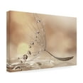 thumbnail image 4 of Rina Barbieri 'Prestige' Canvas Art, 4 of 4