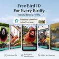 thumbnail image 3 of Birdfy Smart Bird Feeder with Camera, Solar Powered & 9000mAh Battery, Metal Design with 2.5L Capacity, Lifetime Free Bird ID, Perfect Gift for Bird Lovers, Garden Green, 3 of 10