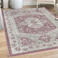 thumbnail image 1 of Vintage Decorative Rug, Grunge Effect Look Curlicue Motif Pattern of Swirls and Shapes Floral Branches, Quality Carpet for Bedroom Dorm and Living Room, 6 Sizes, Raspberry Grey, by Ambesonne, 1 of 4
