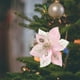 thumbnail image 5 of 1 Pieza de la Flor de Simulación de la Decoración Del Árbol de Navidad - Flor de Simulación de Tela - Decoración de la Escena de la Boda / Fiesta / Sala - Regalo de Vacaciones, 5 of 6