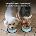 thumbnail image 3 of Iconic Pet 2-Pack Color Splash Stripe Non-Skid Pet Bowl For Dog Or Cat, Blue, 16 Oz, 2 Cup, 3 of 13