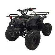 Coolster 125cc ATV 3125XR8